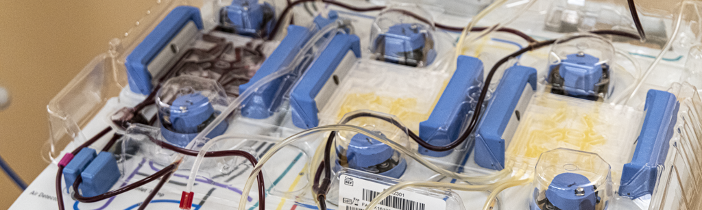 © MedUni Wien / Martin Kurz